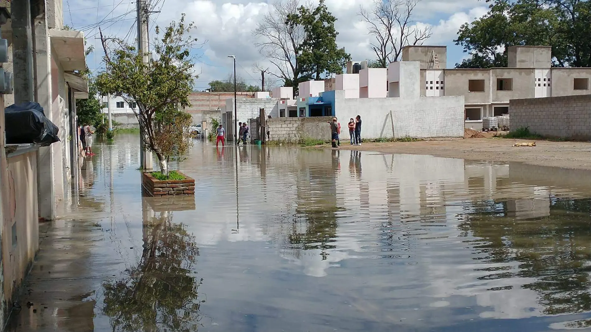 Inundación Los Nogales 1